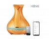 iGET HOME Aroma Diffuser AD500