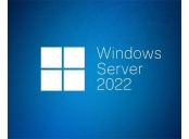 OEM Windows Server CAL 2022 CZ 5 User CAL